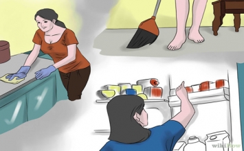 Cách nào đuổi được kiến, gián mà không sát sinh?